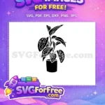 Free Detailed Leaves Free Spiky Petals Succulent Free SVG 2 - Instant Download