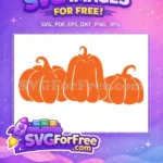 Free Orange Pumpkins Free Fall Thank You Free SVG - Instant Download
