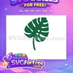 Free Dark Green Leaf Free Monstera Plant Free SVG - Instant Download