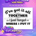 Free I have it all Free Forgot Where Funny Free SVG - Instant Download