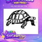 Free Thanksgiving Turkey Free Turtle Cartoon Character Free SVG 1 - Instant Download