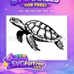 Free Cute Turkey Free Adorable Turtle Thanksgiving Free SVG 1 - Instant Download