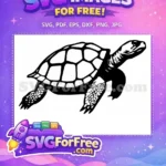 Free Turkey Detail Free Turtle Detail Thanksgiving Free SVG 6 - Instant Download