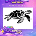 Free Detailed Shell Free Swimming Turtle Turkey and Turtle Free SVG - Instant Download