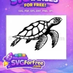 Free Cute Turkey Free Adorable Turtle Thanksgiving Free SVG 2 - Instant Download