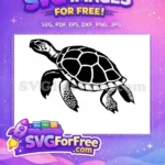 Free Turkey Detail Silhouette Free Turtle Detail Thanksgiving Free SVG - Instant Download