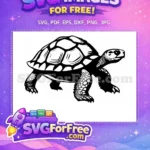Free Thanksgiving Turkey Free Turtle Turkey and Turtle Free SVG 6 - Instant Download