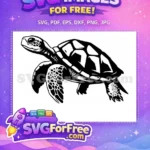 Free Cute Turkey Free Adorable Turtle Thanksgiving Free SVG 3 - Instant Download