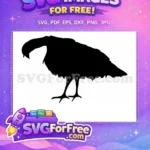 Free Thanksgiving Turkey Free Turtle Thanksgiving Day Free SVG - Instant Download