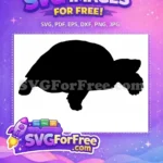 Free Turkey Detail Free Turtle Detail Thanksgiving Free SVG 11 - Instant Download