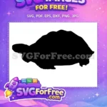 Free Turkey Detail Free Turtle Detail Thanksgiving Free SVG 13 - Instant Download