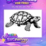 Free Turkey Detail Free Turtle Detail Thanksgiving Free SVG 19 - Instant Download