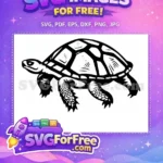 Free Turkey Detail Free Turtle Detail Thanksgiving Free SVG 21 - Instant Download