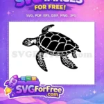 Free Detailed Shell Free Sea Turtle Silhouette Turkey Free SVG 2 - Instant Download