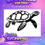 Free Black Turtle Shell Free Sea Animal Turkey Free SVG - Instant Download