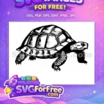 Free Fall Turkey Free Happy Turtle Thanksgiving Free SVG 1 - Instant Download