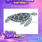 Free Gray Sea Turtle Free Detailed Shell Turkey Free SVG - Instant Download