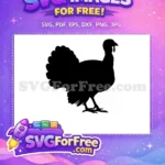 Free Thanksgiving Turkey Free Turtle Cartoon Fall Free SVG - Instant Download