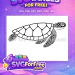 Free Detailed Turtle Free Silhouette Turkey and Turtle Free SVG - Instant Download