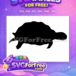 Free Turkey Detail Free Turtle Detail Thanksgiving Free SVG 23 - Instant Download