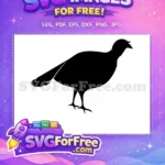 Free Thanksgiving Turkey Free Turtle Thanksgiving Free SVG - Instant Download