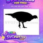 Free Turkey Detail Free Turtle Detail Thanksgiving Free SVG 31 - Instant Download