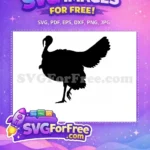 Free Thanksgiving Turkey Free Turtle Fall Season Free SVG 4 - Instant Download