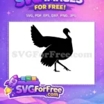 Free Detailed Turkey Free Turtle Thanksgiving Celebration Free SVG - Instant Download