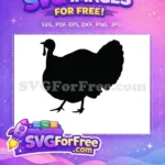 Free Turkey Silhouette Free Farm Animal Thanksgiving Free SVG 4 - Instant Download