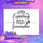 Free Expecting Firecracker Quote Free Baby Footprints Stars Newborn Free SVG - Instant Download