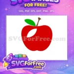 Free crisp red apple Free green leaf brown stem Back To School Free SVG - Instant Download