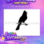 Free Singing Cardinal Bird Free Black Silhouette Design Free SVG - Instant Download