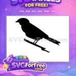 Free Black Bird on Branch Free Elegant Silhouette Birds Free SVG - Instant Download
