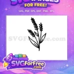 Free Hand-Drawn Lavender Stems Free Elegant Black Outline Botanical Leaves Free SVG - Instant Download