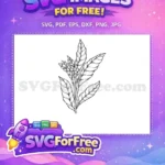 Free Line Art Ginger Plant Free Detailed Wavy Leaves Botanical Free SVG - Instant Download