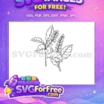 Free Hand-Drawn Botanical Leaves Free Elegant Wheat Stalks Botanical Free SVG - Instant Download