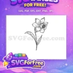 Free Daffodil Line Art Free Hand Drawn Petals Botanical Leaves Free SVG - Instant Download