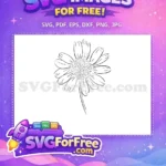 Free Hand-Drawn Daisy Outline Free Detailed Stamen Center Botanical Leaves Free SVG - Instant Download