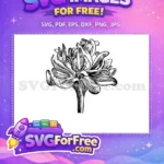Free Vintage Botanical Hyacinth Free Hand-Drawn Leaves Illustration Free SVG - Instant Download
