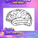 Free Brain Outline Vector Free Black Line Art Anatomy Design Free SVG - Instant Download