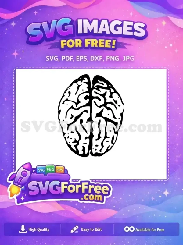 A clear, free SVG design of a human brain from a top-down perspective, showcasing intricate cerebral folds. Ideal for educational use.
