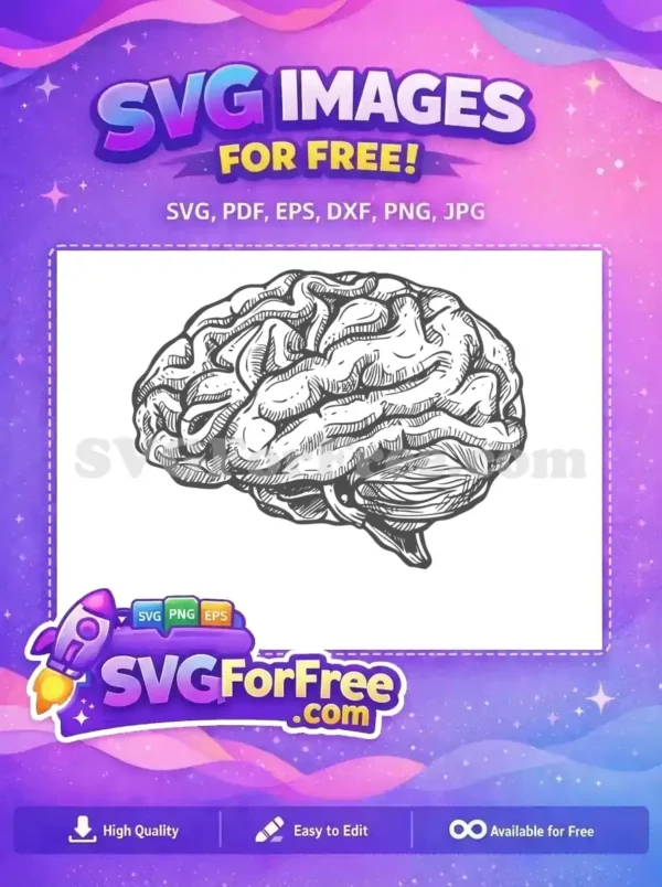 Detailed free hand-drawn human brain SVG, perfect for educational content or creative projects. Download this free art!
