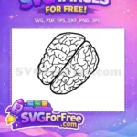 Free Black and White Brain Vector Free Human Anatomy Illustration Free SVG - Instant Download