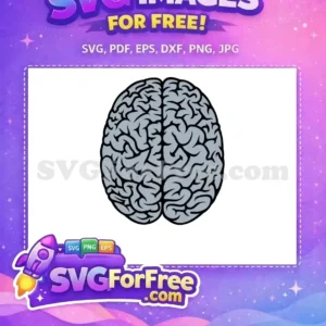 A detailed, free human brain SVG design, showcasing its intricate sulci and gyri, available for various creative and educational projects. This free graphic is perfect for digital use.