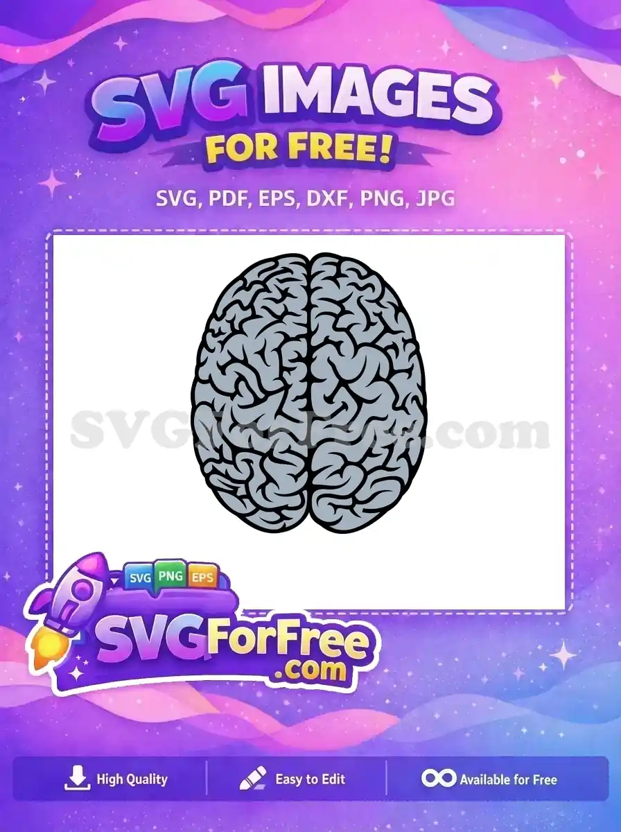 A detailed, free human brain SVG design, showcasing its intricate sulci and gyri, available for various creative and educational projects. This free graphic is perfect for digital use.