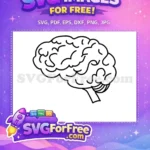 Free Brain Vector Line Art Free Anatomy Outline Drawing Free SVG - Instant Download