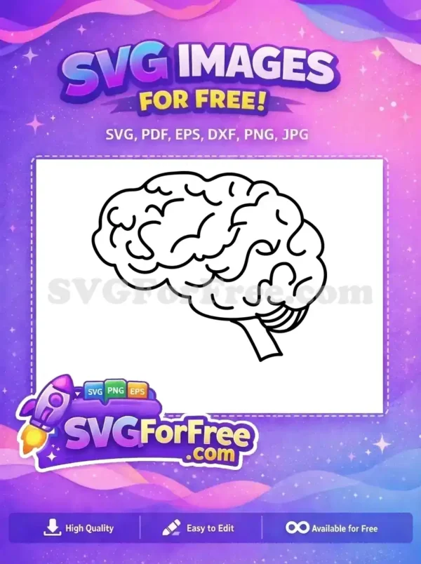 Free human brain outline SVG, a clean, anatomical design for educational content or creative projects. Download this free vector.