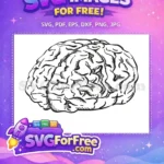 Free Hand-Drawn Brain Free Anatomical Line Art Brain Vector Free SVG - Instant Download