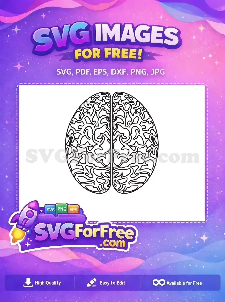 A detailed black and white outline of a human brain, emphasizing its free and versatile design. This free SVG is ideal for educational and creative projects.