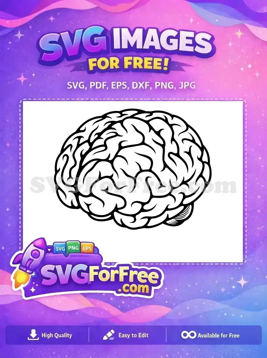 A clear, free black and white outline of a human brain, showcasing intricate sulci and gyri. Ideal for educational free projects.